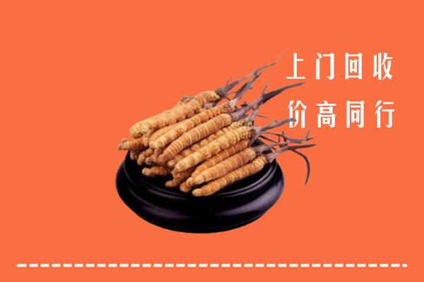 高价求购：宿州市泗县回收散虫草