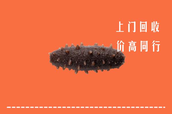 高价求购：宿州市泗县回收海参