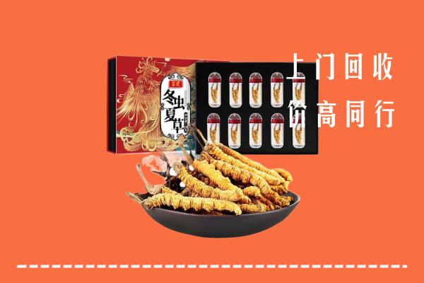 宿州市泗县回收虫草
